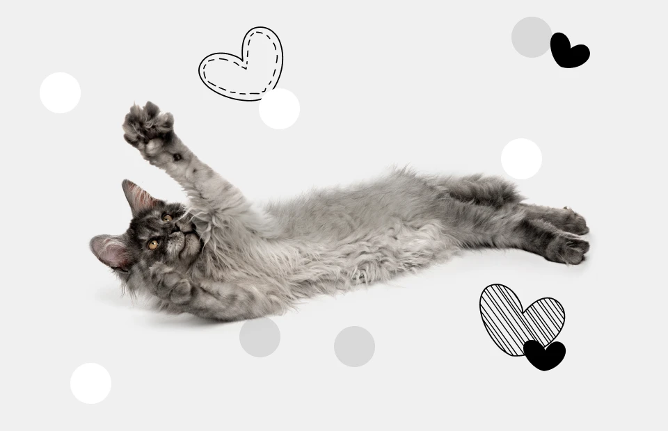 Nowoczesne i eleganckie